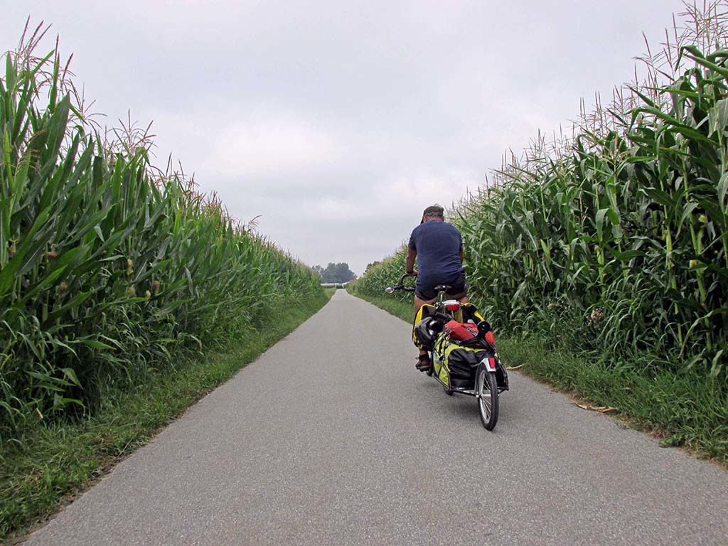 Bicycling -Vilshofen-Deggendorf-Germany-bike path